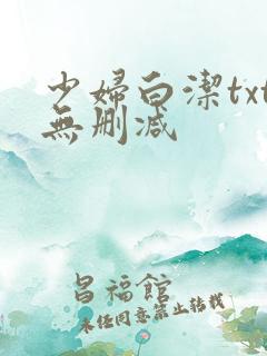 少妇白洁txt无删减