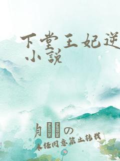 下堂王妃逆袭记 小说
