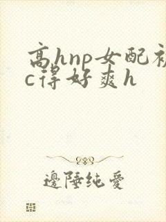 高hnp女配被c得好爽h