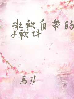 微软自带的pdf软件