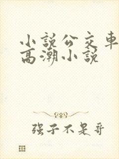 小说公交车被上高潮小说