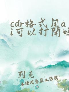 cdr格式用ai可以打开吗