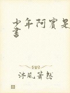 少年阿宾是什么书