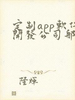 定制app软件开发公司那家好