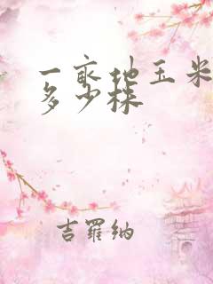 一亩地玉米能种多少株