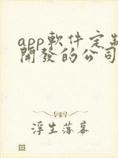 app软件定制开发的公司哪家好