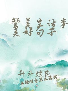 赞美生活事事的美好句子