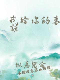 我给你的喜欢小说