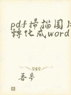 pdf扫描图片转化成word