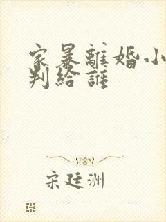 家暴离婚小孩会判给谁