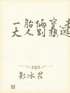 一胎俩宝,老婆大人别想逃微澜子墨