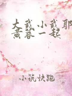 大武小武耶律齐黄蓉一起