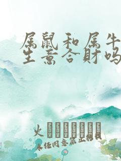 属鼠和属牛的做生意合财吗
