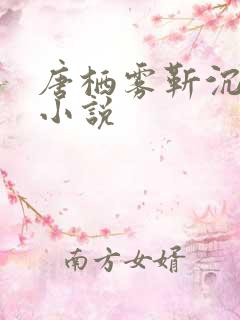 唐栖雾靳沉野的小说