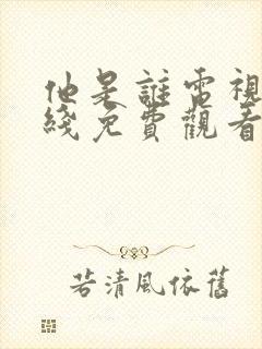 他是谁电视剧在线免费观看全集