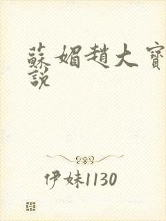 苏媚赵大宝的小说