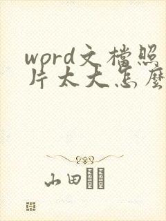 word文档照片太大怎么压缩