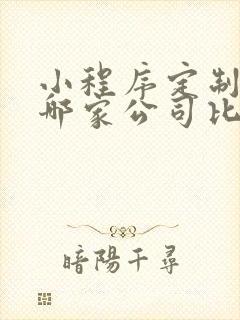 小程序定制开发哪家公司比较好