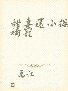 甜妻还小总裁需娇宠
