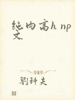 纯肉高h np文