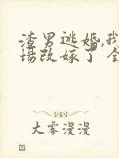 渣男逃婚,我当场改嫁了 全本