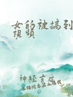 女的被搞到高潮视频