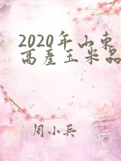 2020年山东高产玉米品种