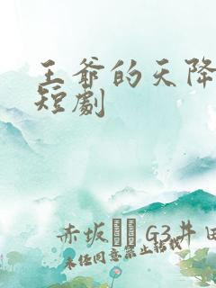 王爷的天降毒妃短剧