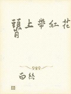 头上带红花的生肖
