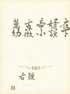 万古帝婿夜玄周幼薇小说下装电子书