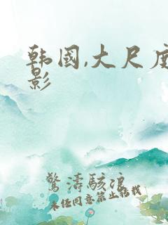 韩国,大尺度电影