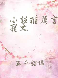 小说推荐言情甜宠文
