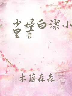 少妇白洁小说哪里有