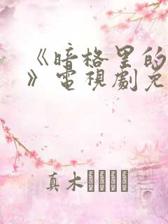 《暗格里的秘密》电视剧免费观看