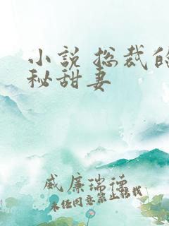 小说 总裁的神秘甜妻