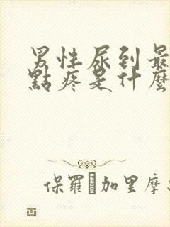 男性尿到最后有点疼是什么引起的