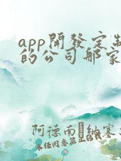 app开发定制的公司那家好