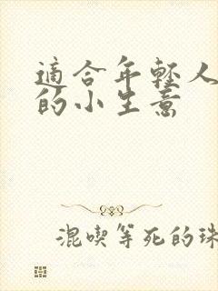 适合年轻人创业的小生意
