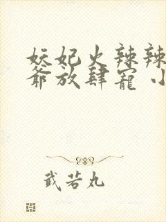 妖妃火辣辣:王爷放肆宠 小说