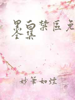 黑白禁区免费看全集
