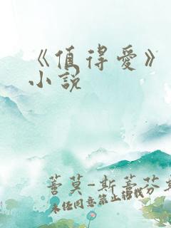《值得爱》原著小说