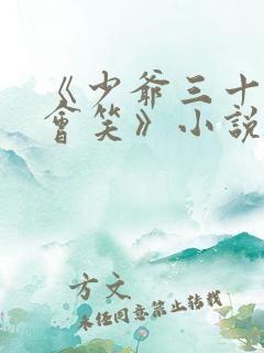 《少爷三十天后会笑》小说