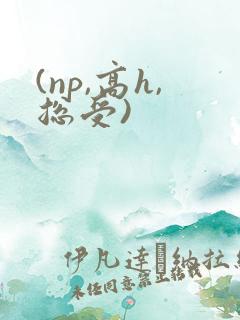 (np,高h,总受)