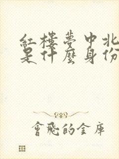 红楼梦中北静王是什么身份