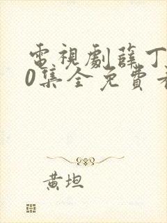 电视剧薛丁山40集全免费看