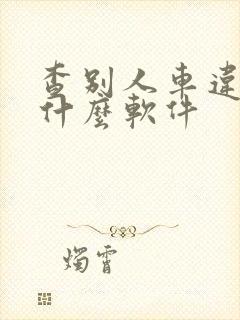 查别人车违章用什么软件