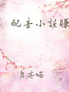 配音小说赚钱吗