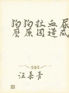 狗狗拉血尿是什么原因造成的