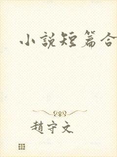 小说短篇合集h