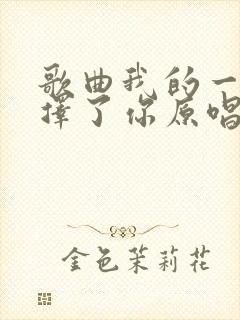 歌曲我的一生选择了你原唱视频